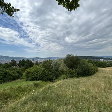 Cover Image for Founder & CEO Energy Morning Walk