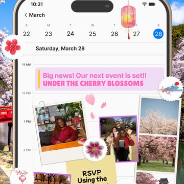 Cover Image for Under the Cherry Blossoms