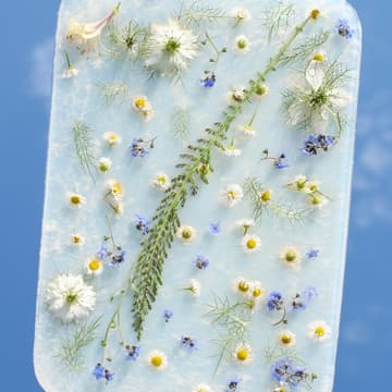 Cover Image for Saltwater Achemies