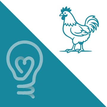 Cover Image for Making Life Better for Billions of Animals