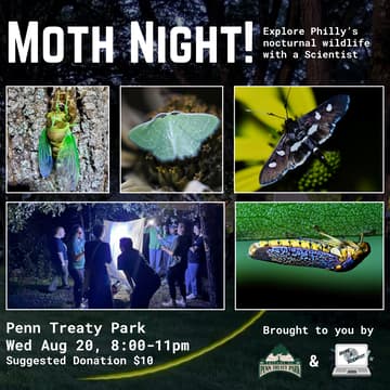 Cover Image for Moth Night at Penn Treaty Park Aug 20