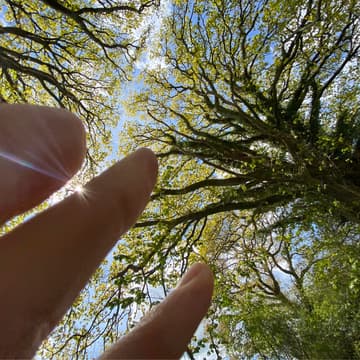 Cover Image for FREE: Somatic Breathwork Introductory session with Benjamin Tree