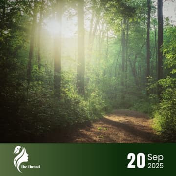 Cover Image for Trail & Talk | A Women in Tech Forest Walk