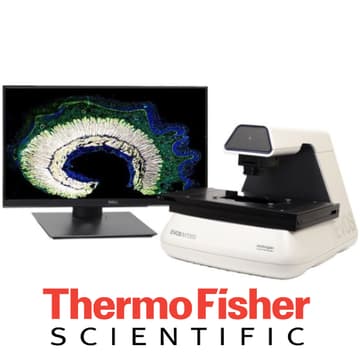 Cover Image for Invitrogen EVOS Cell Imaging Systems Training