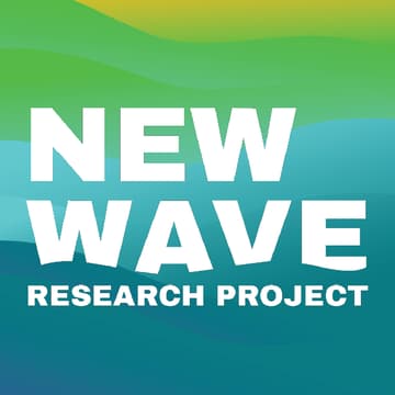 Cover Image for New Wave Successes & Struggles