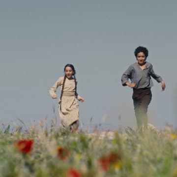 Cover Image for Palestine 36 Pop Up - Poppy Planting With SAWA