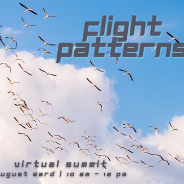 Cover Image for Flight Patterns Virtual Summit