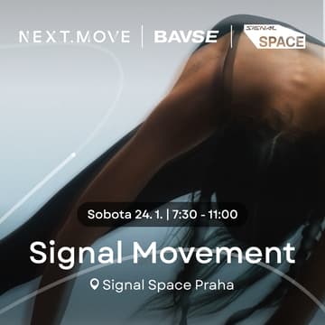 Cover Image for Signal Movement