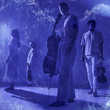 Cover Image for Palaver Strings