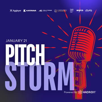 Cover Image for PITCH STORM - Polygon Edition