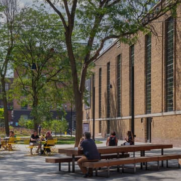 Cover Image for Clean Up Toronto Together with the GDNA