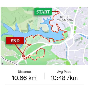 Cover Image for MacRitchie + Bukit Brown Cemetery Walk