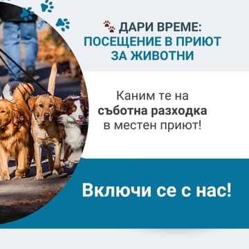 Cover Image for 🐾 Дари Време: Посещение в приют за животни