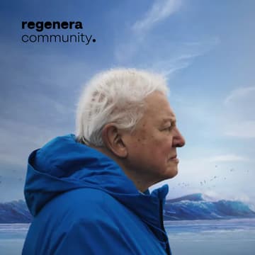 Cover Image for Una noche con el océano y Sir David Attenborough