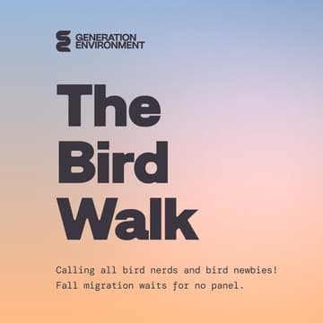 Cover Image for Generation Environment: The Bird Walk