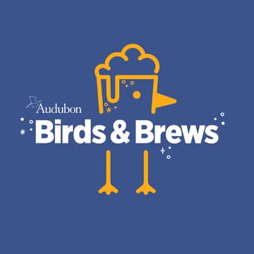 Cover Image for Birds & Brews
