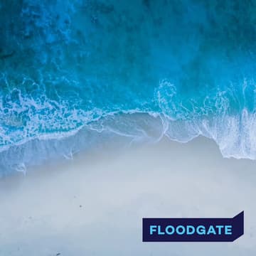 Cover Image for Floodgate: Friends and Family