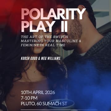 Cover Image for Polarity Play II - The Art of The Switch