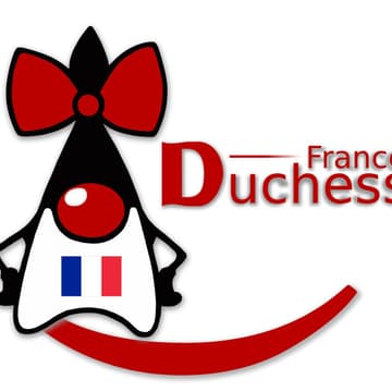 Cover Image for Apprendre en permanence sans s'épuiser — Table ronde Duchess France @ Devoxx