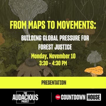 Cover Image for From maps to movements: Building global pressure for forest justice