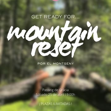 Cover Image for MOUNTAIN RESET