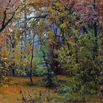 Cover Image for Trans-Bioregional Coordination Circle - November 2025 🌍