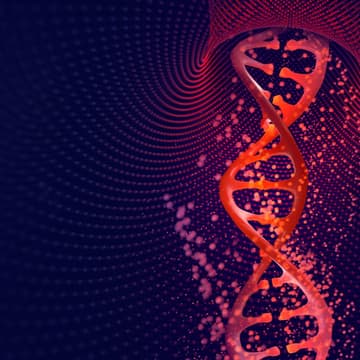 Cover Image for Insights to Impact | Bench to Batch – Accelerating IND Readiness