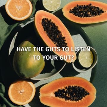 Cover Image for Gut Health through a Longevity Lens