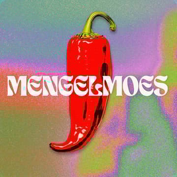 Cover Image for Mengelmoes