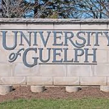 Cover Image for University of Guelph I-O Psychology Information Night
