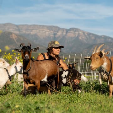 Cover Image for Sat. 2/7 @ 10am - Goat Petting Zoo