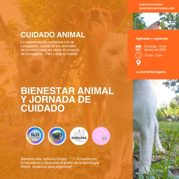 Cover Image for 🐶 Bienestar Animal y Jornada de Cuidado