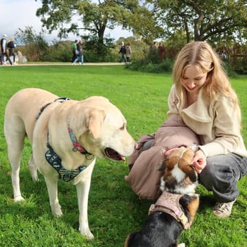 Cover Image for Pawfect Sunday 💌