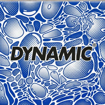 Cover Image for Dynamic: Slick Social