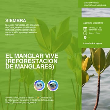 Cover Image for 🌱El Manglar Vive: Reforestación y Aventura