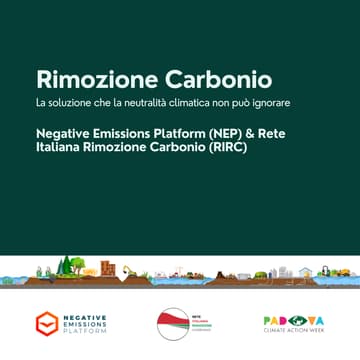 Cover Image for Rimozione Carbonio: la soluzione che la neutralità climatica non può ignorare