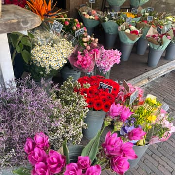 Cover Image for Elsie's Spring Fling 💐 (London)