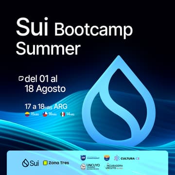 Cover Image for ARGENTINA l Sui Bootcamp Summer