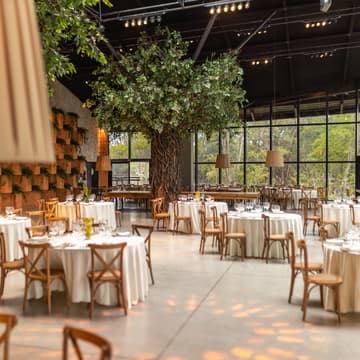 Cover Image for Save-the-date - Déjeuner FFI Splendide