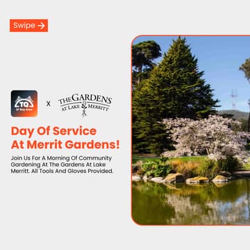 Cover Image for Day of Service at Merrit Gardens