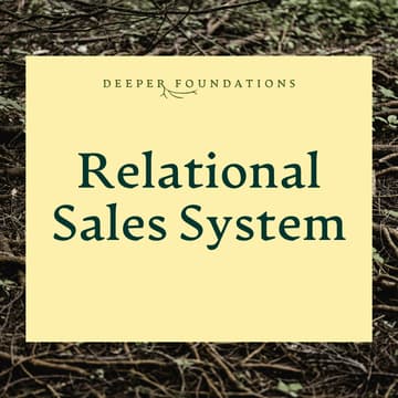 Cover Image for Relational Sales System