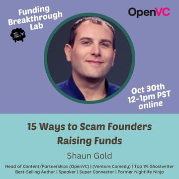 Cover Image for 15 Ways to Scam Founders Raising Funds