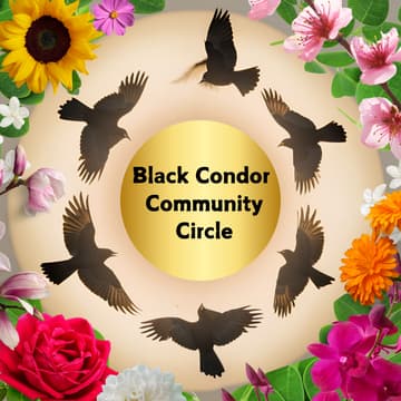 Cover Image for Black Condor Community Circle