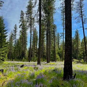 Cover Image for Mt. Adams PBA June Quarterly Meeting