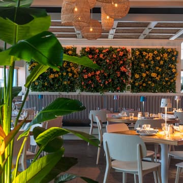 Cover Image for Pogo Dinner Series: How real human conversations are creating a new era of consumer insights