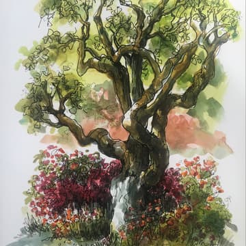 Cover Image for Sketching Vignettes: Sketchwalk with Peri-Laine Nilan