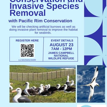 Cover Image for Seabird Conservation with Pacific Rim Conservation