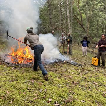 Cover Image for Hands-on Fire Ecology with Kai Hoffman-Krull