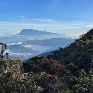 Cover Image for Gunung Sinsing (G3) and Gunung Kaingaran (G5) - Sabah 4D/3N - Rating: IBP 41-126