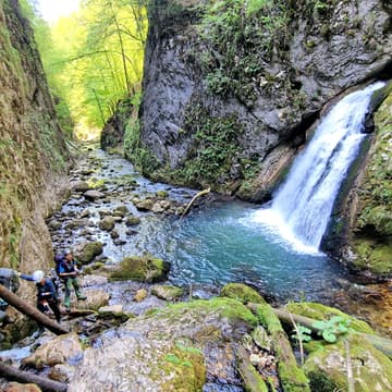 Cover Image for M-tii Apuseni, 22-28 Iunie